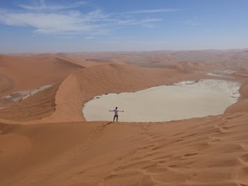 Wüste Namib, Vlei, Düne