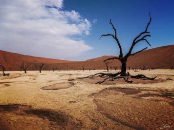 Namibia, Sossus Vlei, Nationalpark
