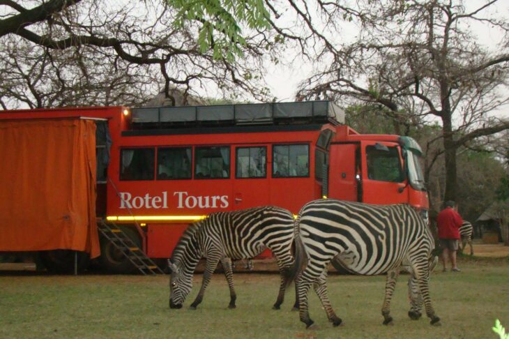 Mit Rotel Tours durch Afrika, Zebra